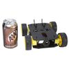 Junior Runt Rover