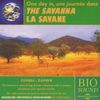 The Savanna