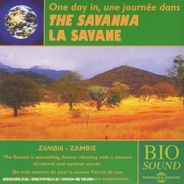 The Savanna