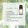 Elora 10ml Eucalyptus Essential Oil, 100% Pure & Natural
