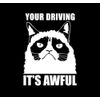 Grumpy cat Type3 Car Decal sticker white x1