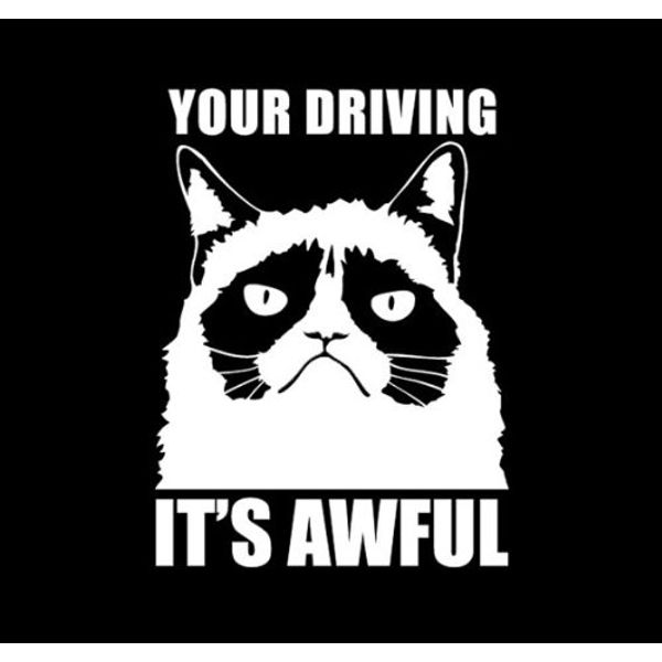 Grumpy cat Type3 Car Decal sticker white x1