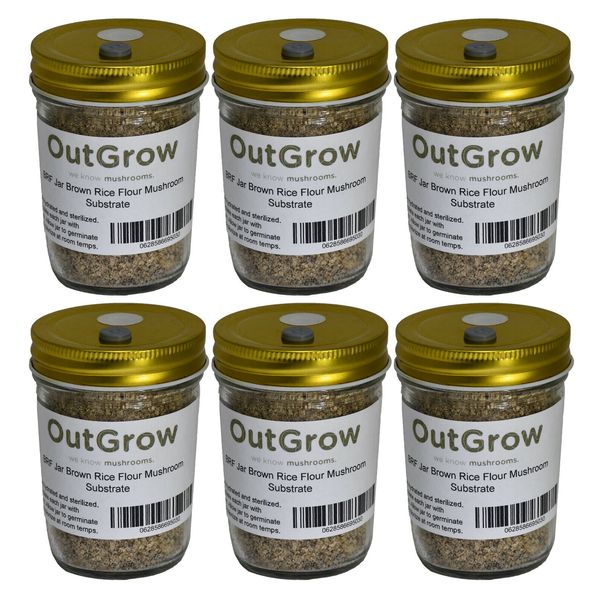 BRF Jars Brown Rice Flour Mushroom Substrate (6 Pack)