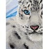 RIOLIS Cross Stitch Kit - 1886 - Snow Leopard