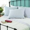 Premium Down Pillow - Travel Size