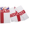 PMS 50x70CM ENGLAND DESIGN TEA TOWEL WITH PVC COATED HEADER