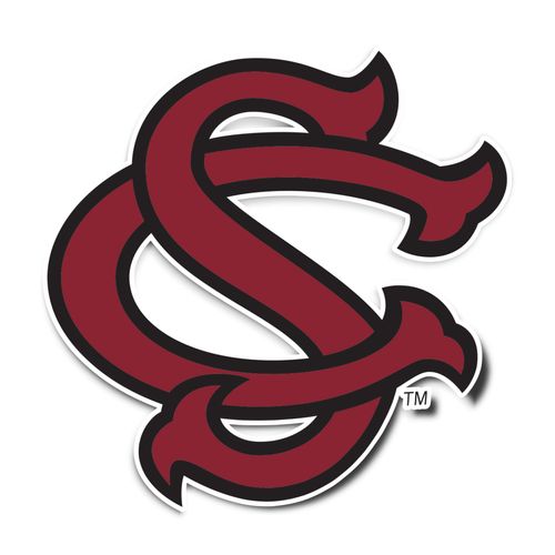 Desert Cactus University of South Carolina Gamecocks Sticker USC Cocky Vinyl Decal Laptop Water Bottle Car Scrapbook (IND 7)