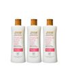 RAW SUGAR Moisture Loving Body Wash - Watermelon + Fresh Mint, Moisturizing & Refreshing Bath & Shower Gel, Sulfate-Free, Paraben-Free & Vegan (Pack of 3)