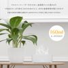 sjunga Aroma Diffuser, Humidifier, Aroma Compatible, Tabletop, Small, LED Light, Ultrasonic Type, Easy, Dry, Quiet, Compact, Fireless, Stylish, Cute (White)