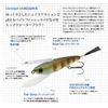 DSTYLE Reserve 2.8 inches (70 mm) RESERVE Lures