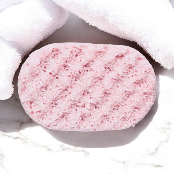 Soap Filled Ice Fairy Soap Sponge