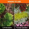 1 Gal. Ready-to-Use Groundclear Weed/Grass Killer