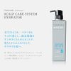 STEPHEN KNOLL Scalp Care System Hydrator Treatment Main Unit 16.9 fl oz (500 ml) (x 1)
