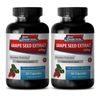 Oligomeric Proanthocyanidin - Grape Seed Extract 95% 150 - Sugar Burner Pills 2B