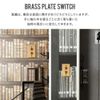 American Switch Brass Plate 2 Switch HS2336 CSZ AXCIS
