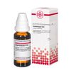 Haplopappus D12 DHU Dilution, 20 ml Lösung