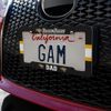 GRAPHICS & MORE Towson University Dad License Plate Tag Frame