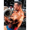 Enhances Immune Function - MAXAMINO PLUS 1200 - Muscle Growth Pills - 90 Tablets