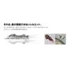 Pudley Ikarua Jet Regular SSS (#01 Pure Clear)