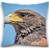 Eagle Cushion/Pillow, Eagle Cushion Cover/Pilowcase, Uk Handmade