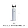 Hydro Flask Standard Flex Cap Fir 21 Oz