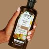 Herbal Essences Coconut Milk Conditioner, 13.5 fl oz