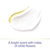 Dove Advanced Care Antiperspirant Original Clean 2.6 oz