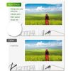 NEXTPAGE CLI42 Light Gray Ink Cartridges Replacement for Canon CLI-42 CLI42 Light Gray Ink Work for Pixma Pro-100 Pro-100s Printer (CLI42 LGY 4 Pack)