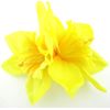 Double Yellow Daffodil Silk Flower Hair Clip with Teeth