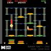 Evercade Data East Arcade Cartridge 1 (Electronic Games)