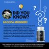 Neurolon Advanced Nootropic Pills to Support Memory and Focus - 5 Bottles
