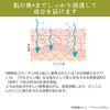 Mystical Cosmetics (ebis) Vegetable Collagen Solution MC100 