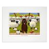 'Ewe're A Big Softee' Mounted Print by Thomas Joseph - Sheep Art