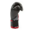 Everlast 12oz Core Training Glove