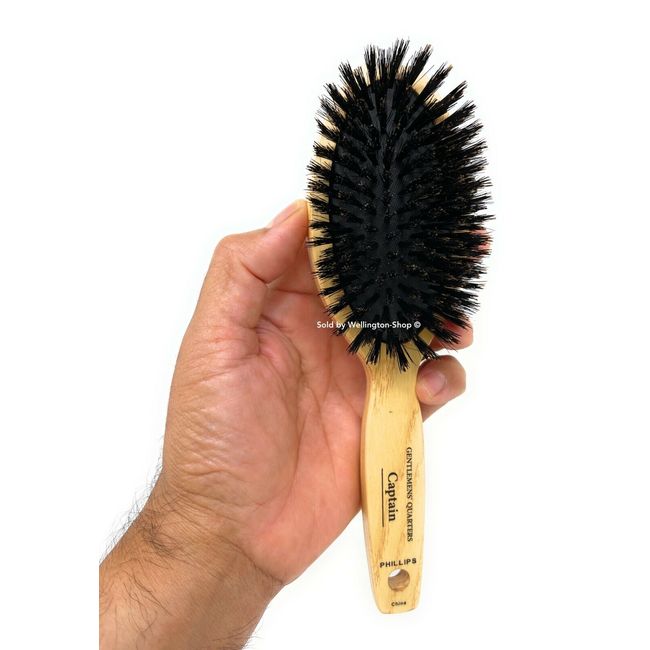 Phillips Brush 8.5 In. Gentlemens’ Quarters Captain Oval Cushion Boar Bristle 1