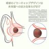 Ear Tips TW-E3B Wireless Earbud Tips Comfortable Washable Silicone (S/M/L Each Pair) 3 Sizes Soft Anti-Slip