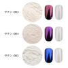 Nail Satin Chrome Powder In Case (Satin-001)