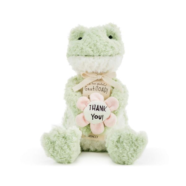 DEMDACO Gratitoad Thank You Soft Green 9 inch Plush Polyester Fabric Stuffed Animal Toy