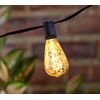 Garden Reflections Edison Bulb 10-pc Plug-In String Lights in Clear