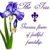 CafePress Purple Iris Large Mug 15 oz (444 ml) Ceramic Coffee Mug