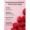 A’PIEU Raspberry Vinegar Hair Shampoo 16.9 fl.oz / 500 ml -Dandruff