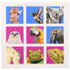 Wildlife Memo Game 41441 Tactic Memo Wildlife, Multicolor