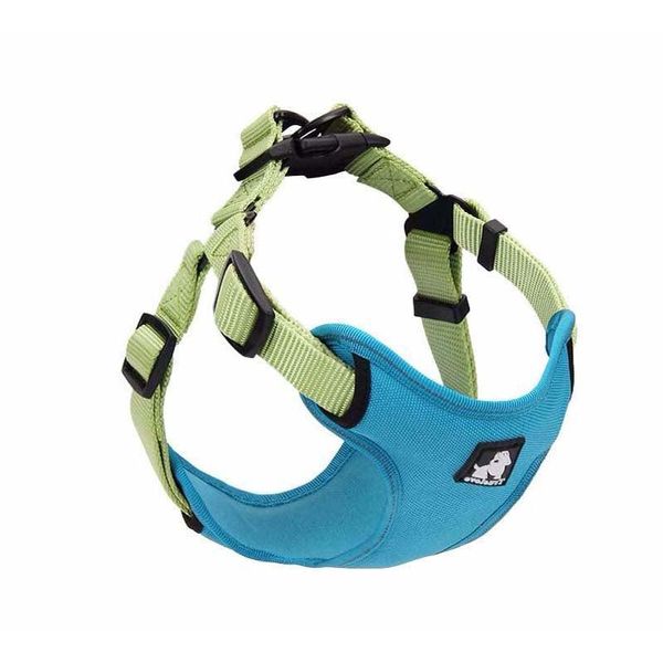 Comfortmesh Dog Leash Collar: Convenient And Stylish Walking Companion For Dogs Of All Sizes - Blue Green / S