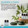 mEssentials Exquisite Signature Essential Oil Blend Inner Calm, Two 10 ML Bottles