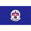 CafePress U.S. Air Force Thunderbirds Oval Car Bumper Sticker(10-Pack)