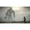 Shadow of the Colossus (PS4)