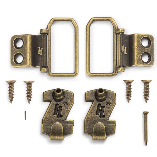 HangZ 11031 Flat Mount 2-Hole D-Ring Picture Hanger Kit, 30lb