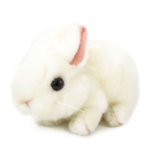 Rabbit / Rabbit Plush Animal Toy Store [white]