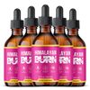 Himalayan Burn Drops Liquid Supplement, Himalayan Burn Max Strength (5 Pack)