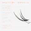 LASHIDOL Partial False Eyelashes, Pine Exk, Self False Eyelashes, Natural, Popular, DIY, Easy Eyelashes, 0.4 - 0.5 inches (9 - 12 mm) (Cherry Blossom) (Fishtail Eyelashes, Black)